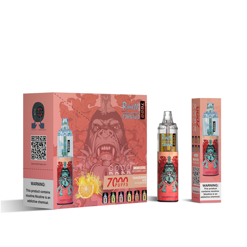 RAndM Tornado 7000 Puffs Disposable Vape (Schachtel mit 10 Stück)
