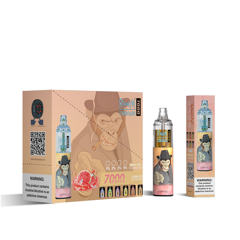 RAndM Tornado 7000 Puffs Disposable Vape (Schachtel mit 10 Stück)
